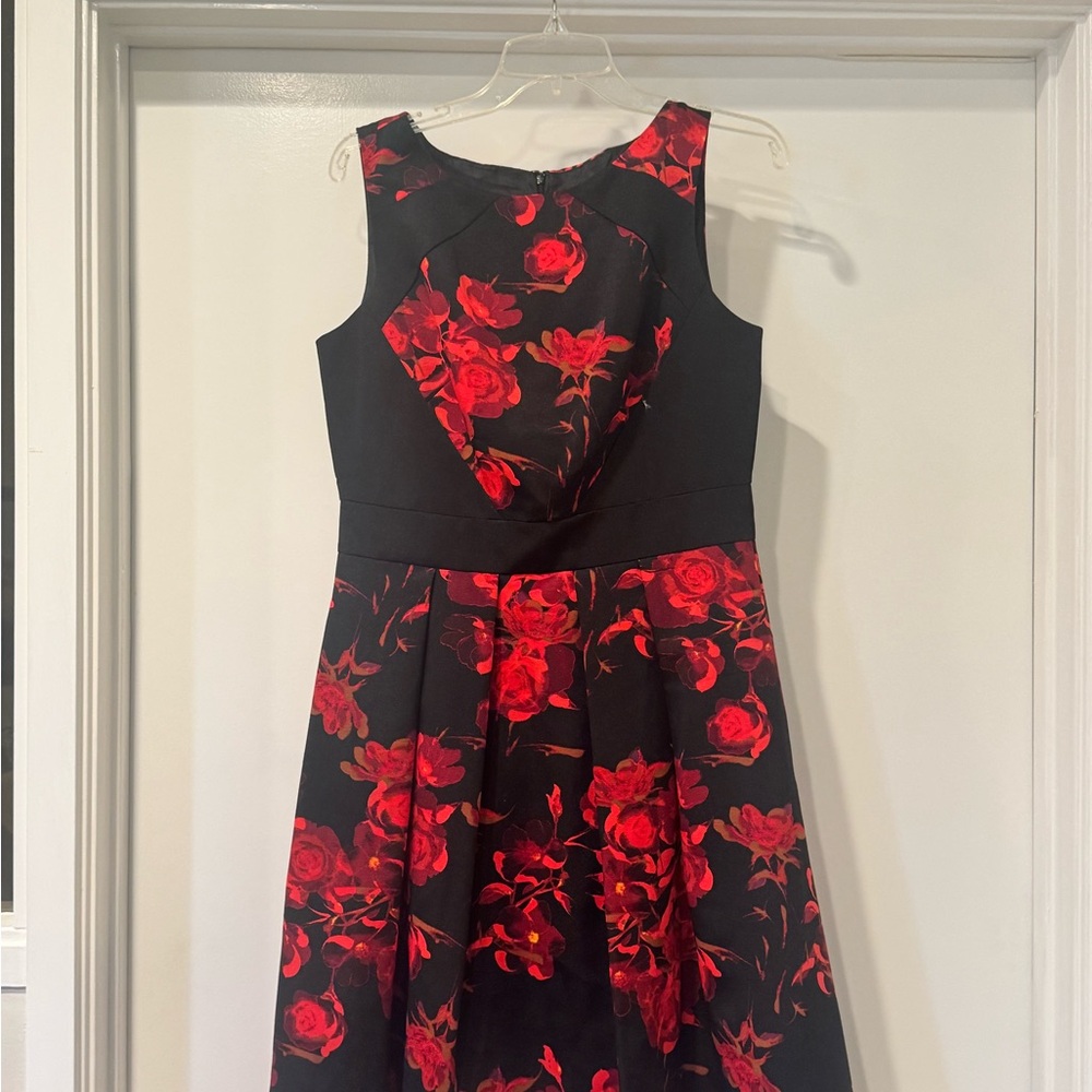 Taylor Black and Red Dress